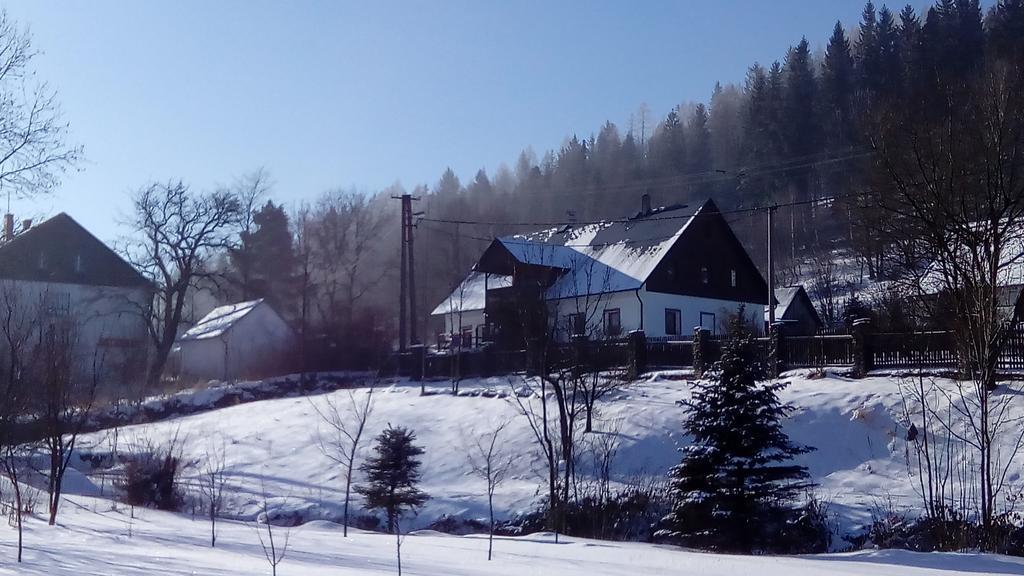Penzion Edelstejn Petrovice  Bagian luar foto