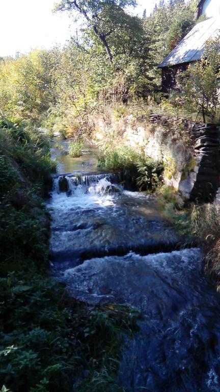Penzion Edelstejn Petrovice  Bagian luar foto