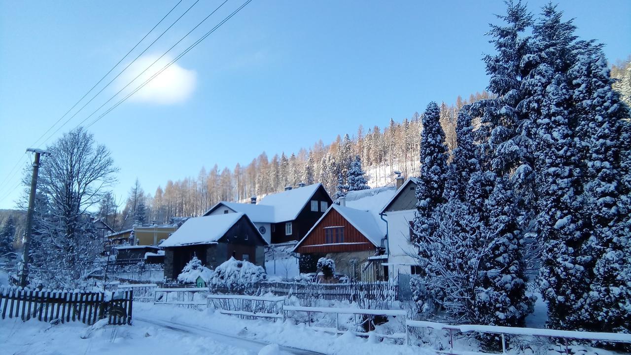 Penzion Edelstejn Petrovice  Bagian luar foto