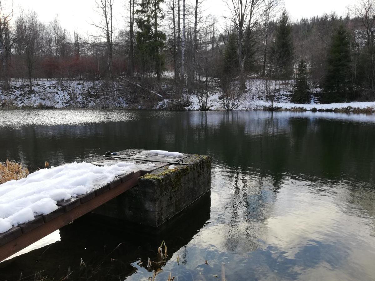 Penzion Edelstejn Petrovice  Bagian luar foto