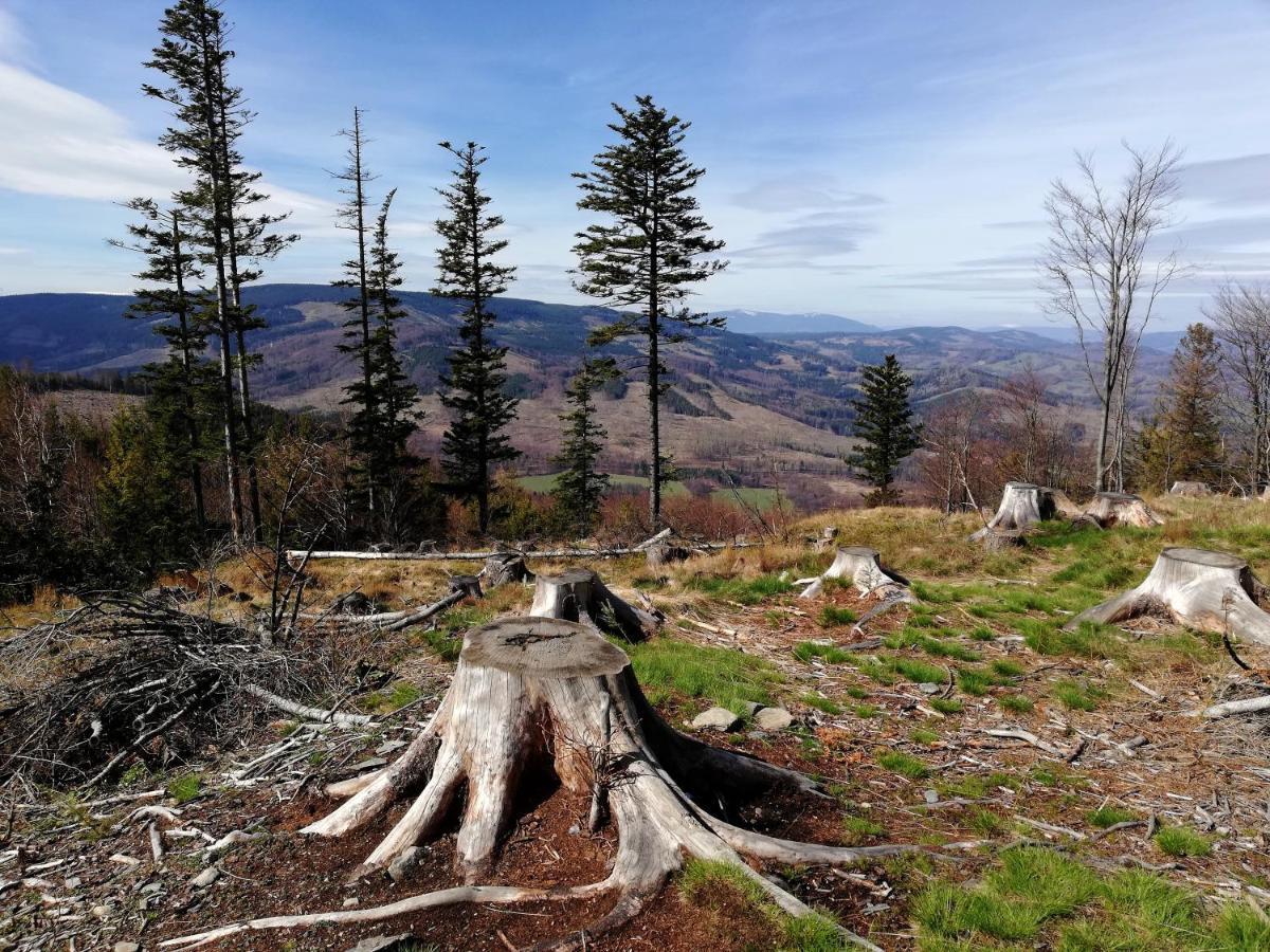 Penzion Edelstejn Petrovice  Bagian luar foto